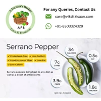Green Chilli (Hari Mirch) - 250 Gm