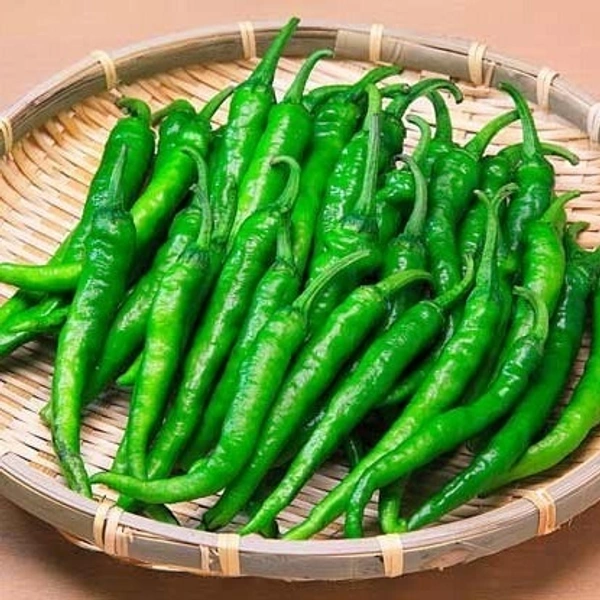 Hari Mirch (हरी मिर्च) - 10 Kg - 10 Kg