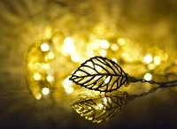 DEEP RISE Golden Leaf Shape LED Metal Lights (Warm-White, Golden)