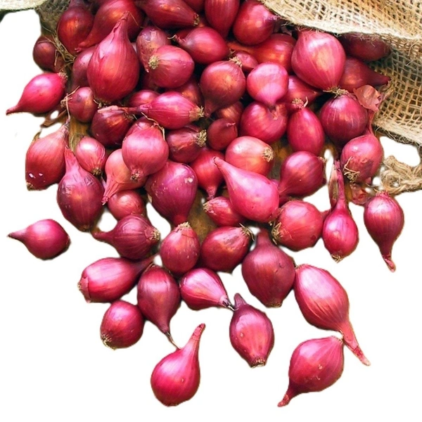 Baby Onion (Sirka Pyaz) - 100 Grams