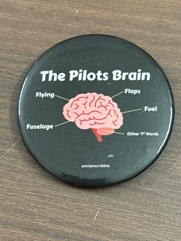 THE PILOT'S BRAIN 