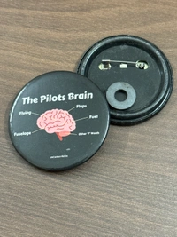 THE PILOT'S BRAIN 