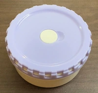 Tiffin box for kids 