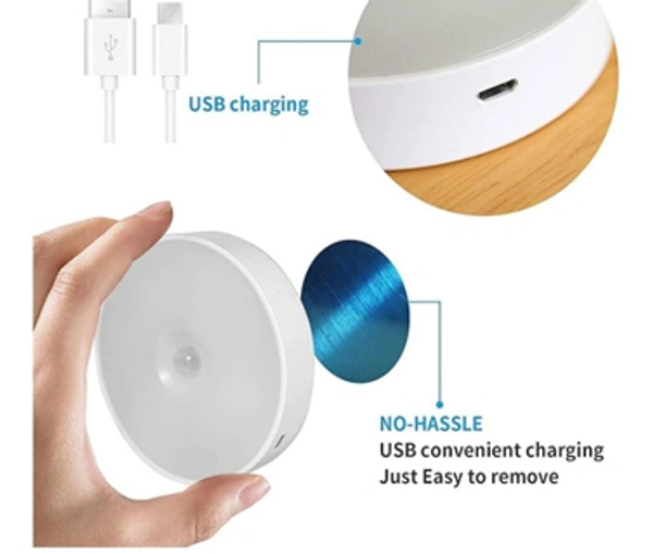 INDUCTION LAMP
