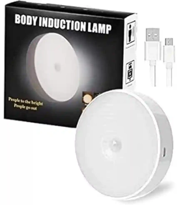 Induction Lamp