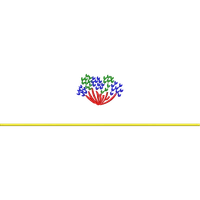 Blouse Design No : HSW PM-51 - Border With Butta, Boat Neck
