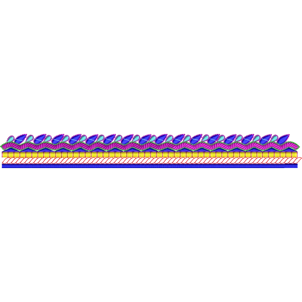 Blouse Design No :MSM - 550 - U Shape, Simple Border