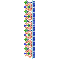 Blouse Design No :MSM - 416 - Simple Border, U Shape
