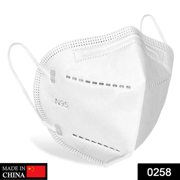RSDD0258 N95 ANTI POLLUTION/VIRUS FACE MASK