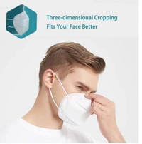 RSDD0258 N95 ANTI POLLUTION/VIRUS FACE MASK
