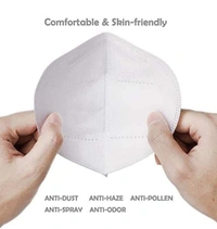 RSDD0258 N95 ANTI POLLUTION/VIRUS FACE MASK