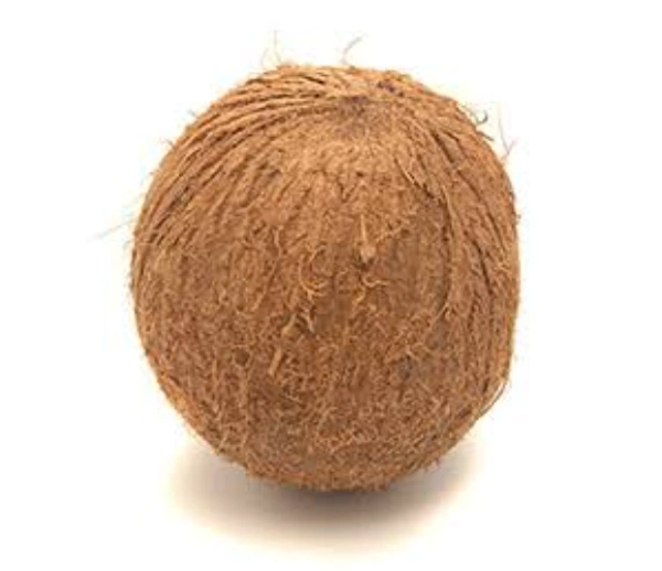 Coconut തേങ്ങ - 1 pc small size