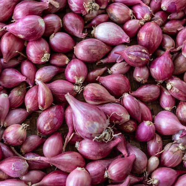 Small Onion ( Cheriulli) - 500 gms