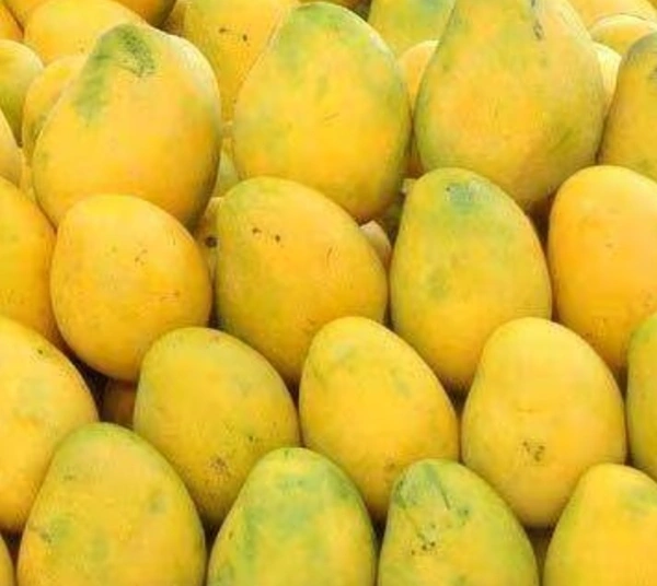 बादाम आम Aam (Badami Mango) - 500 Gm