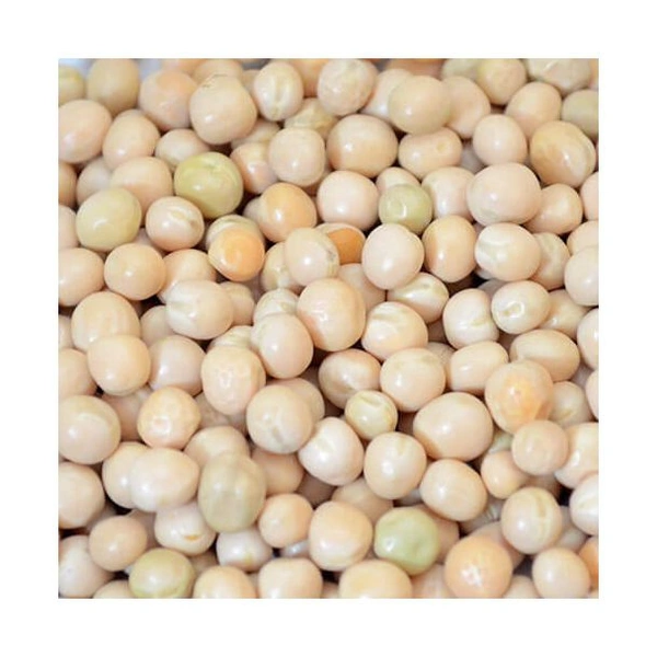 Matar Seed (ମଟର)