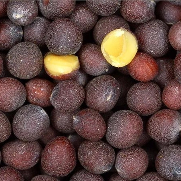 Black Mustard Seeds (Bold) - 1kg