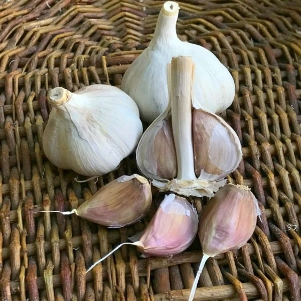 Garlic (ରସୁଣ) - 1kg