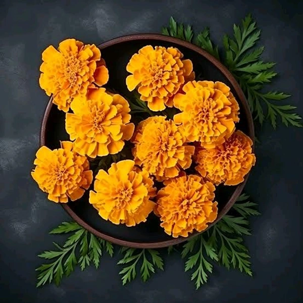 Marigold Red - 250 grams