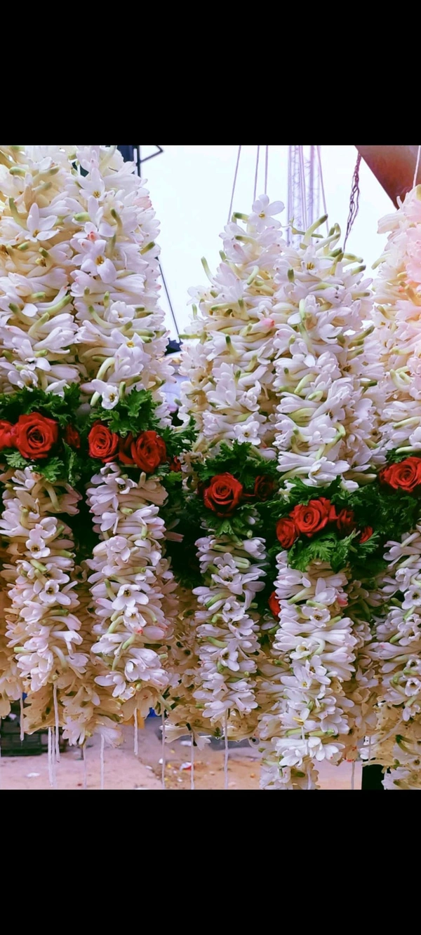 Rajanigandha Garland  - Small