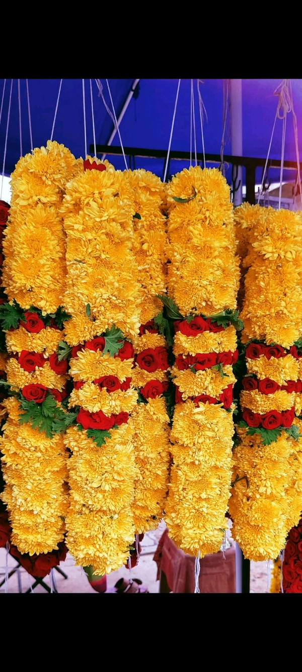 Sent Yellow Garland Big