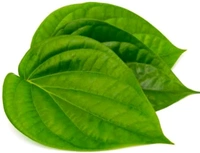 Betel Leaves With Betel Nuts