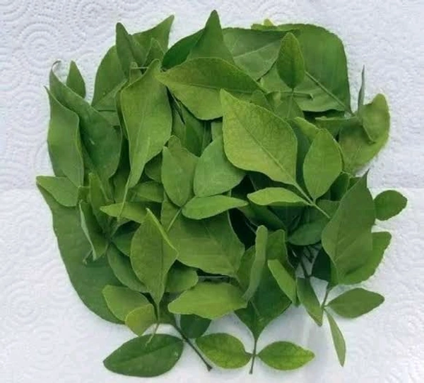 Bilva Patra ( ಬಿಲ್ವ ಪತ್ರೆ )