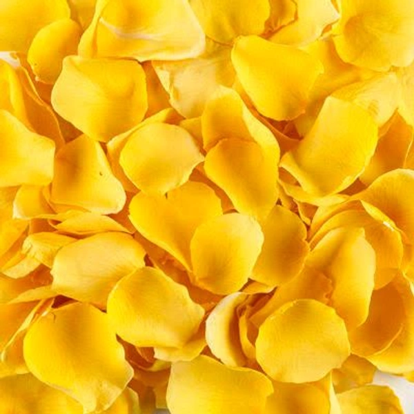 Yellow Rose Petals  - 250 grams