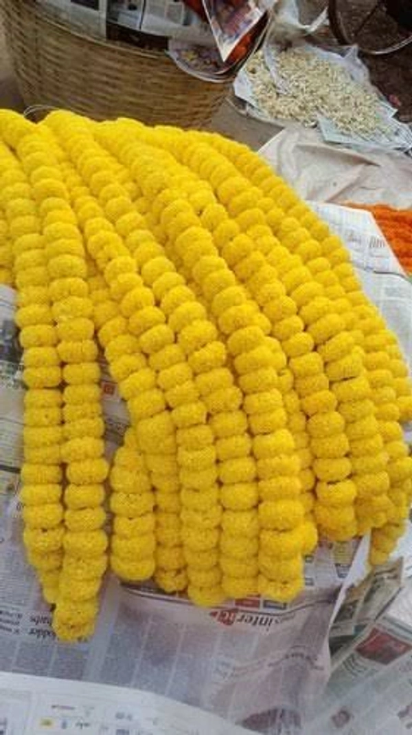 Marigold Mala Yellow 