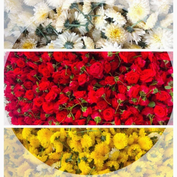 Mixed Pooja Flowers  - 500 Grams