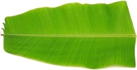Banana Leaf  - 5 Pieces