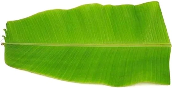 Banana Leaf  - 5 Pieces