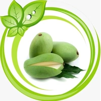 Kancha Mitha Mango Plant Grafted (পশ্চিমবাংলার বিখ্যাত কাঁচা মিঠা আম) - ২ ফুট থেকে ৭ ফুট পর্যন্ত হবে