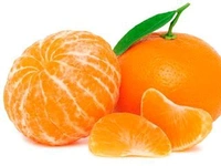 Ramrangon Variety Orange 🍊 Plant, Grafted,Healthy Mature Plant  - 1-3 Feet Healthy Grafted Plant