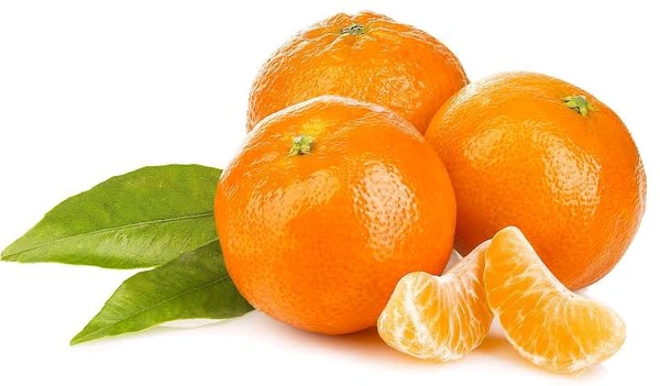 Original Pakistani Mandarin Grafted Plant, Sweet Orange Variety  - 3/7Feet Mature Grafted Plant