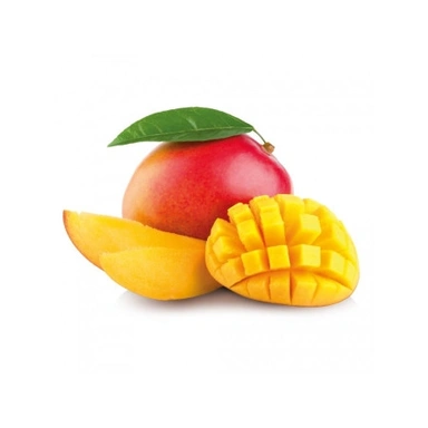 Mango Plant