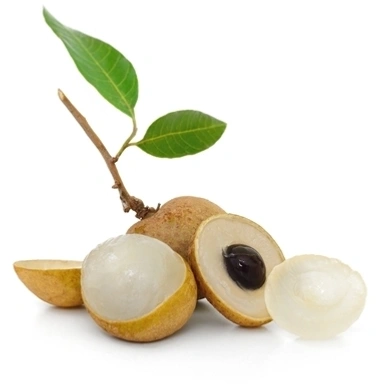 LONGON PLANT