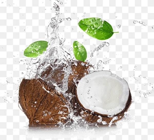 Wood Pressed Coconut Oil, Extra Virgin 100ML - 100ml