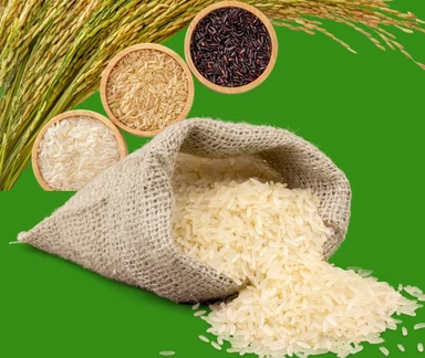 Rice & Other Products