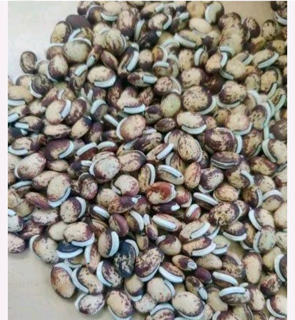 பொர் மொச்சை  - 250g
