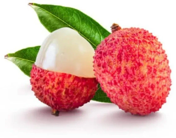 Lichee