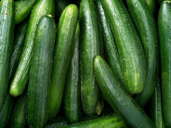 Cucumber  - 1Kg