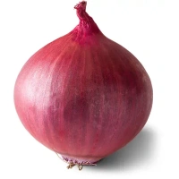 Onion  - 