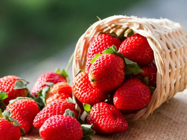 Strawberry 