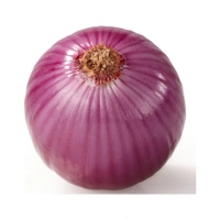 Onion  - 
