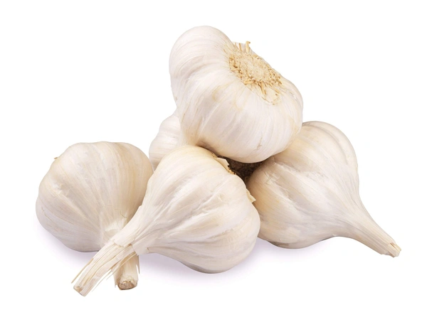 Garlic -  - 