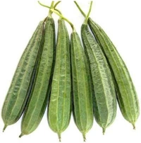 Sarputiya - 