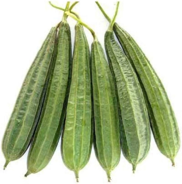 Sarputiya - 