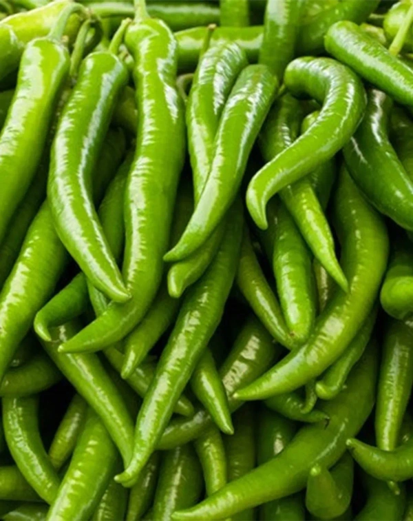 Green Chilli - 