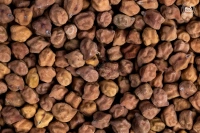Chana  - 