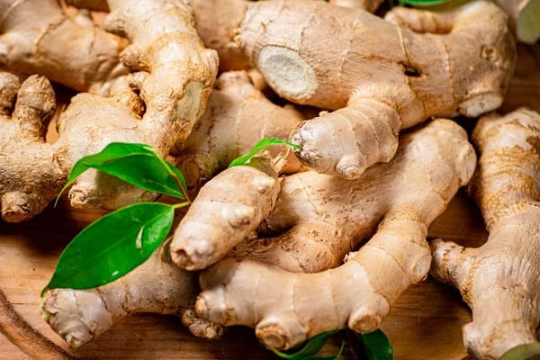 Ginger - 